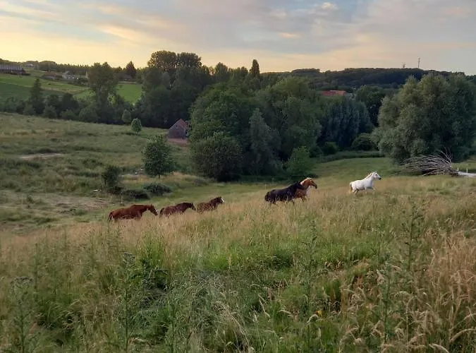 Vakantiehuis La Rigaudrye